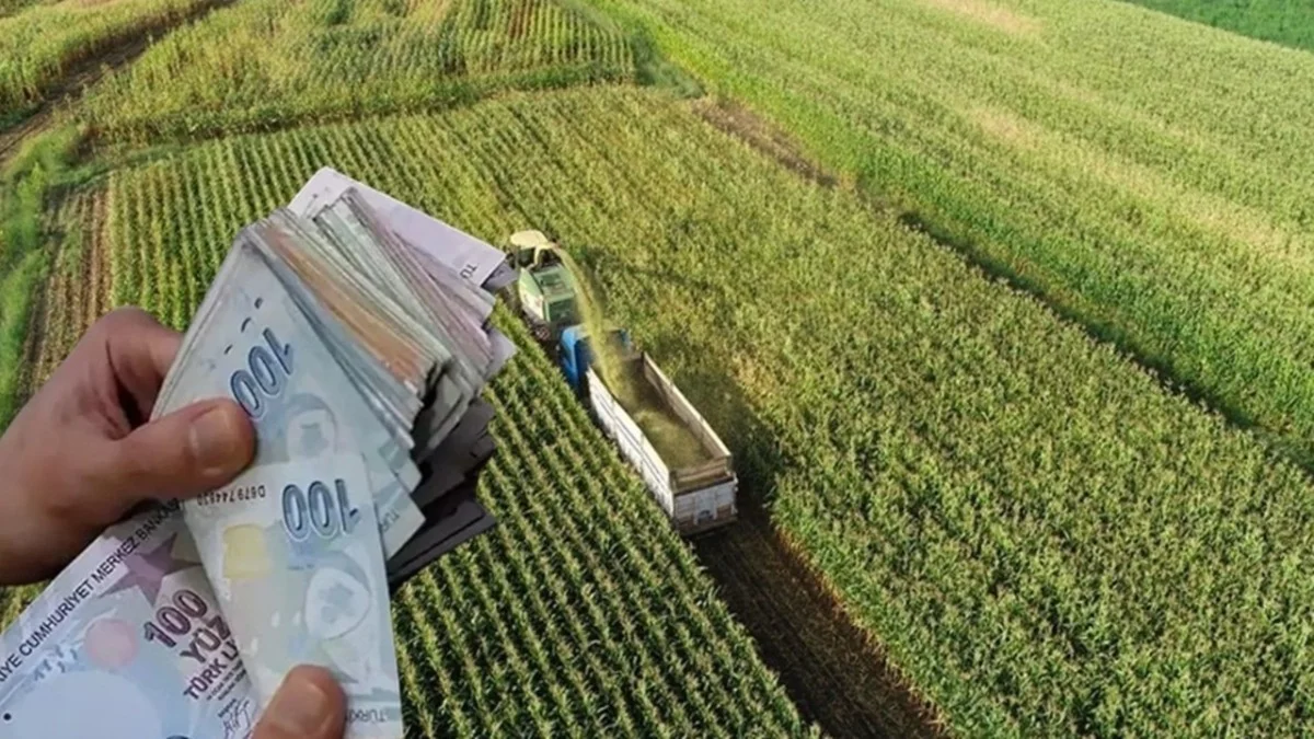 500 Bin Euro Hibe, Sıfır Kur Riski! Tarımda 40 Yaş Altı Genç Çiftçiye Dev Müjde! - Ekonomi Haberleri