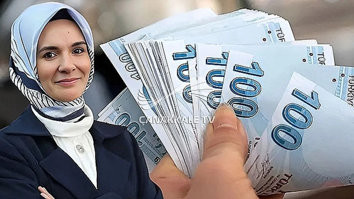 Aylık 6.000 TL Devlet Desteği Kimlere Verilecek? Başvurular Başladı - Ekonomi Haberleri