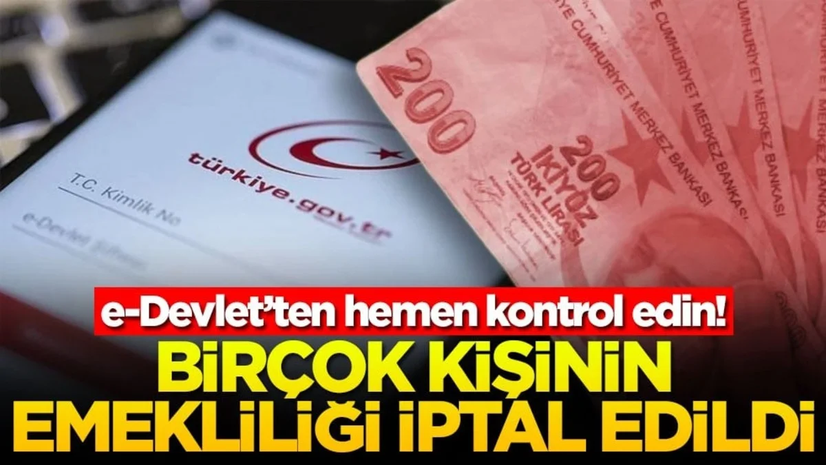 e-Devlet Üzerinden Kontrol Edin! Bazı Emeklilikler İptal Edildi - Gündem Haberleri