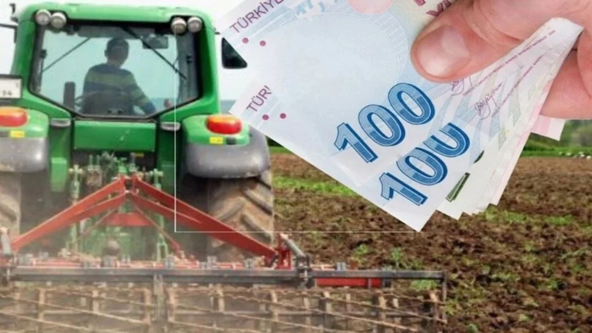 Tarım ve Hayvancılıkta Yüksek Hibe: Beşte Dördünü Devlet Ödeyecek - Ekonomi Haberleri